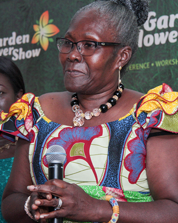 thumb_103_600_750_0_0_crop